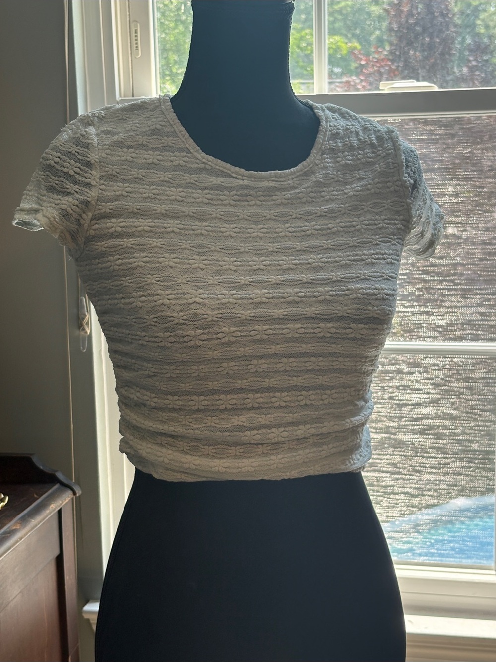 Altar'd State pale blue Lace Cropped Short Sleeve Top